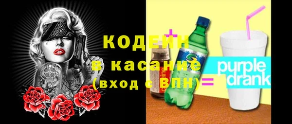прущие грибы Пересвет