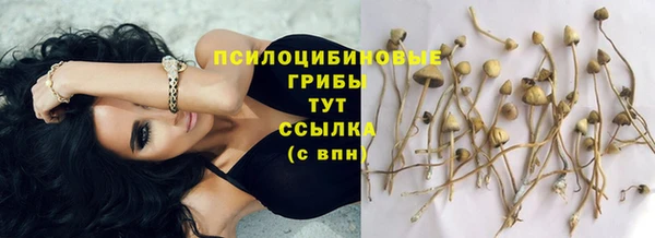кокс Абаза