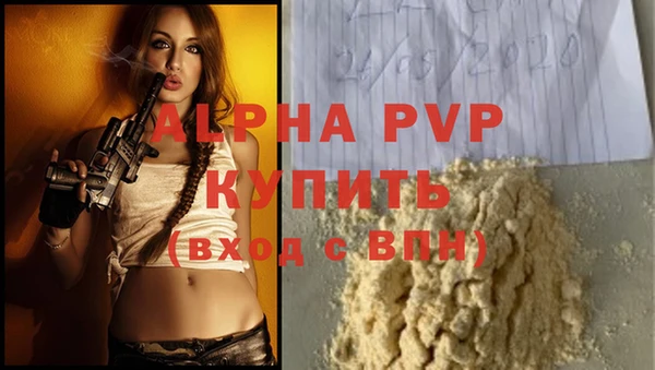 прущие грибы Пересвет