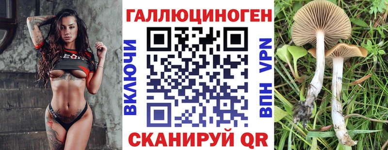 Псилоцибиновые грибы Magic Shrooms Шлиссельбург